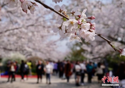 文旅部：加强旅游不文明行为惩戒 下大力纠治顽疾