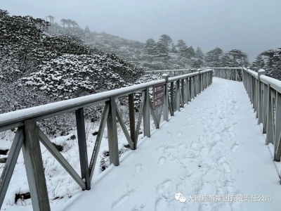 来自4月的惊喜！苍山下雪了！