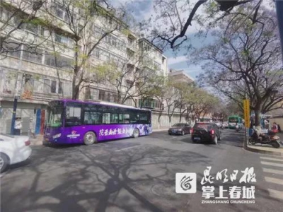 昆明首辆蓝花楹主题公交开跑