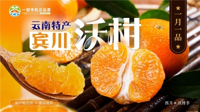 云南省“一月一品”农产品数字消费系列活动  第一期大理宾川沃柑“春收春售”！ 