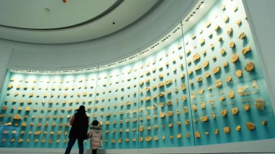 二十世纪最惊人的科学发现——美物：玉溪·澄江化石地