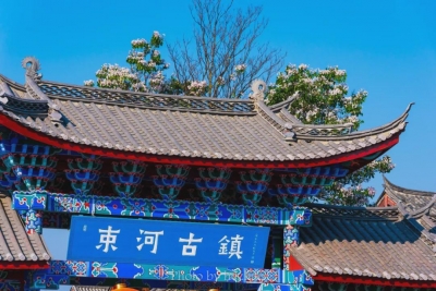 丽江小众秘境指南｜束河楸木花绽放！“五一”来打卡