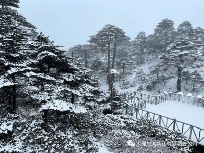 来自4月的惊喜！苍山下雪了！