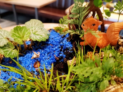 “地球日关注生物多样性”  昆明北辰财富中心云花文旅主题餐厅举办春季亲子活动