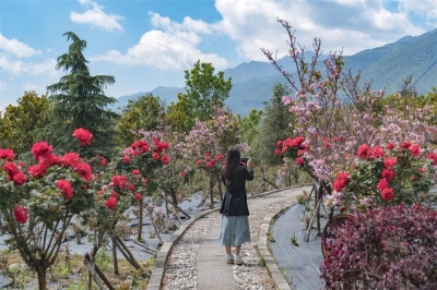 “2021中国文化体验旅游首选地”  假期打卡大理崇圣寺三塔有优惠！