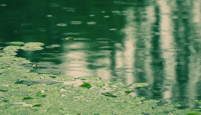 【世界读书日】阅读“生物多样性”