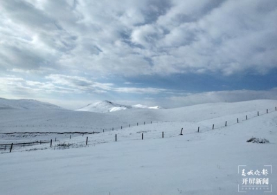 稀奇！云南会泽大海草山突降大雪，“夏日雪景”美翻了！