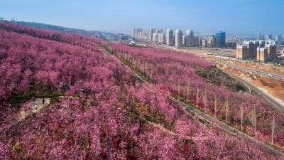 接待游客8.1万人次 保山市隆阳区清明假期多条主题旅游线路受市民青睐