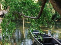 图集 | 昆明永昌湿地