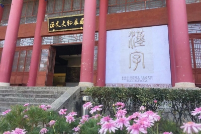 联合国中文日丨到大理市博物馆 探秘汉字的前世今生！