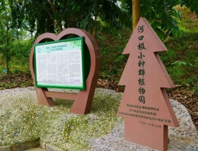 【COP15】云南河口建成国内首个县级“极小种群”植物园