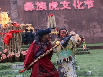 图集 | 双柏彝族老虎笙节