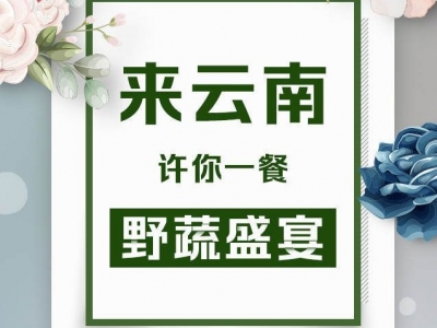 来云南，许你一餐野蔬盛宴