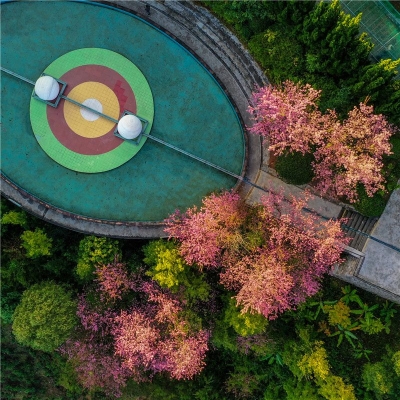 野象走了，普洱这个“快乐星球”又开园了！