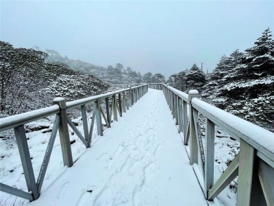 【视频+图】解锁“阳春白雪”的浪漫 大理苍山下雪啦！