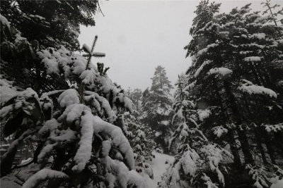 清明时节雪纷飞   走，开启轿子雪山赏雪模式！
