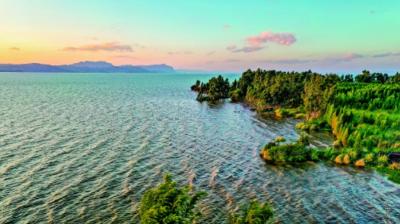 守护“地球之肾”！《新华每日电讯》聚焦云南湿地保护