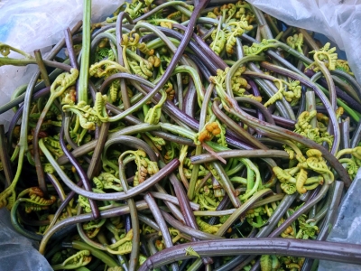 这些野菜正当食，“五一”来大理品尝最浓烈的春天味道！