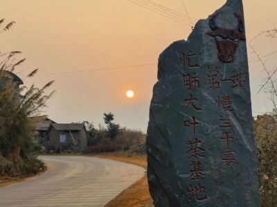 勐板茶农平凡的一天