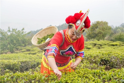 图集 | 春日风光好 闲游白竹山