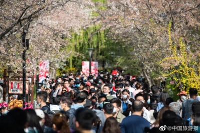 文化和旅游部发布清明节假期文化和旅游市场情况