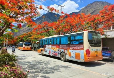 玉溪易门绿汁镇｜凤凰花开醉游人 引发周末旅游热