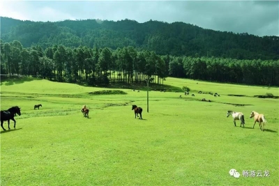 宝顶日出、百鸟争鸣、古道斜阳……大理云龙天池，24小时之景，皆是不同