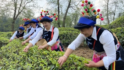 大理：文旅融合助力乡村振兴 乡村旅游展现广阔前景