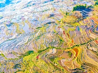 图集丨“大地雕塑”元阳梯田