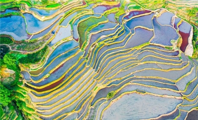 什么是云南旅游新方向？这两个数据告诉你