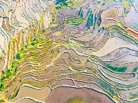 图集丨“大地雕塑”元阳梯田