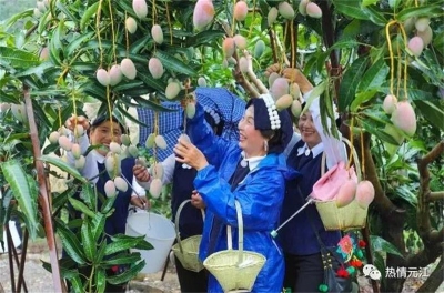 今年芒果节时间定了！玉溪元江等你来！