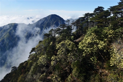 近4万张照片！这个大理本地摄影师跨越半个世纪定格大理的诗意山川