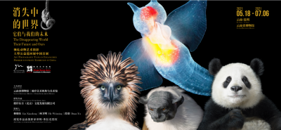 约吗？今天一起到云南省博物馆看展吧！