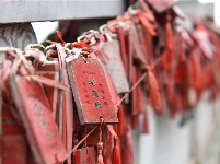 图集 | 巍山文庙 
