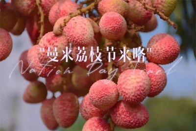 玉溪元江曼来荔枝节火热来袭！等你来打卡！