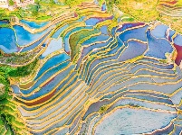 图集丨“大地雕塑”元阳梯田