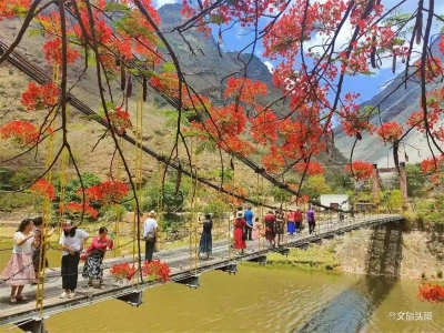 玉溪易门绿汁镇｜凤凰花开醉游人 引发周末旅游热