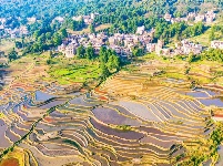 图集丨“大地雕塑”元阳梯田