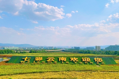 昆明机场提升中转服务品质 “行李直达”受青睐  