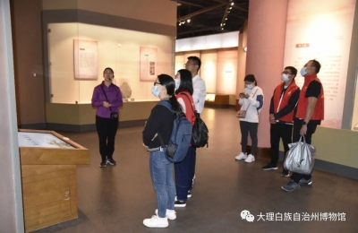 不忘初心 砥砺前行——大理州多家单位党支部到大理州博物馆开展主题党日活动 