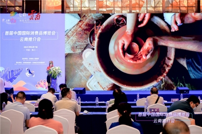 红河文旅亮相首届中国国际消费品博览会 