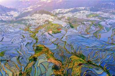 红河哈尼梯田高颜值刷屏首届中国国际消费品博览会