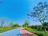 图集丨到石屏异龙湖 来一场清新宁静之旅
