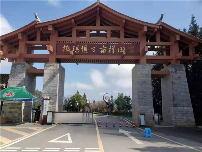 红河文旅真招实措，为文旅行业纾困解难添活力