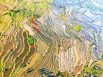 图集丨“大地雕塑”元阳梯田