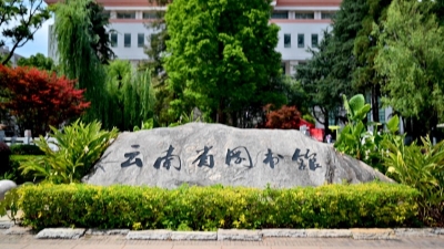 “五一”期间省图书馆读者破万 图书馆劳动者坚守劳动节