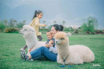 六一儿童节将临，大理这一波“趣”玩活动和优惠不要错过！