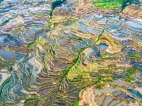 图集丨“大地雕塑”元阳梯田