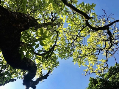 小满 | 跟着时节游大理 要来就来中国最佳爱情表白地